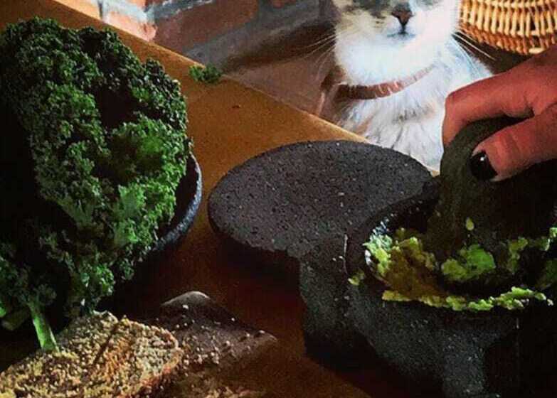 بنسيون Casa La Caracola Vilcabamba