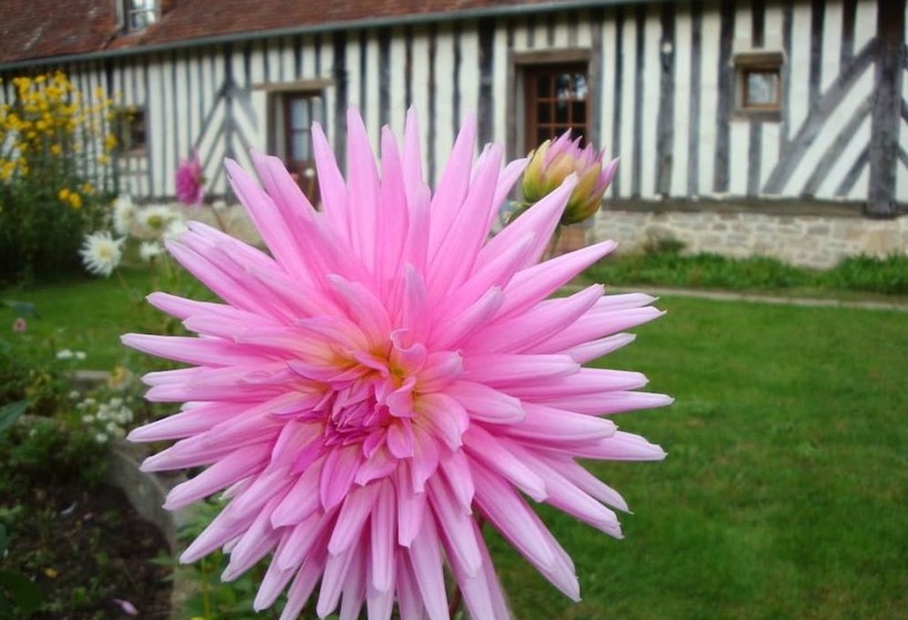 膳宿费 Ferme La Thillaye