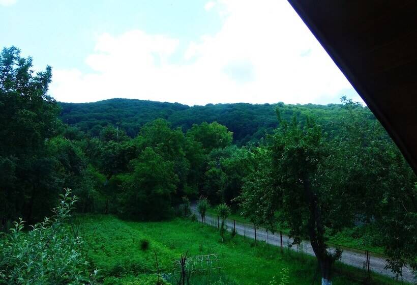 بنسيون Guest House Family Green