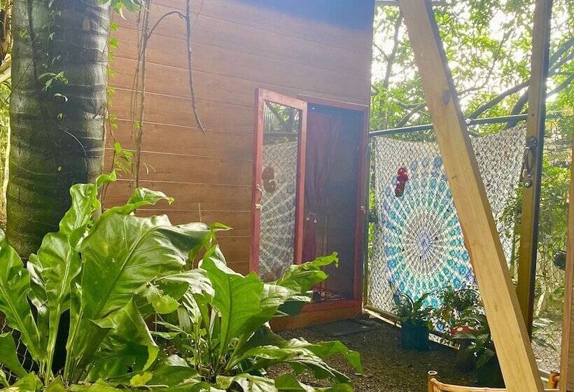 펜션 Guest House Pura Vida