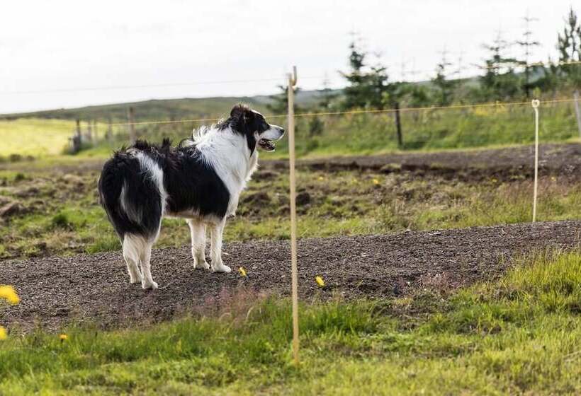 پانسیون Klara S Farm Holidays