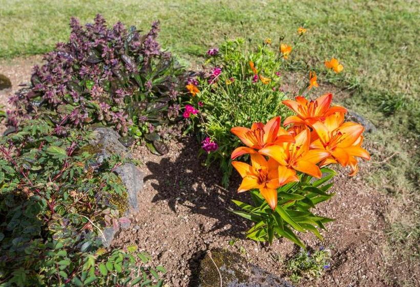 پانسیون Kvöldstjarnan Gistiheimili