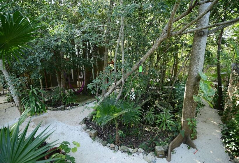 פנסיון La Aldea Cancún