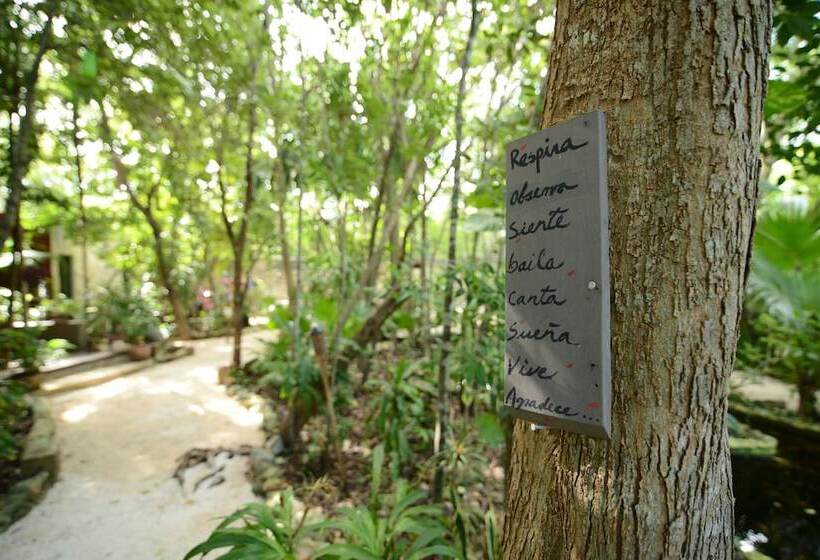 פנסיון La Aldea Cancún