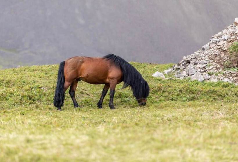 پانسیون Lysuholl