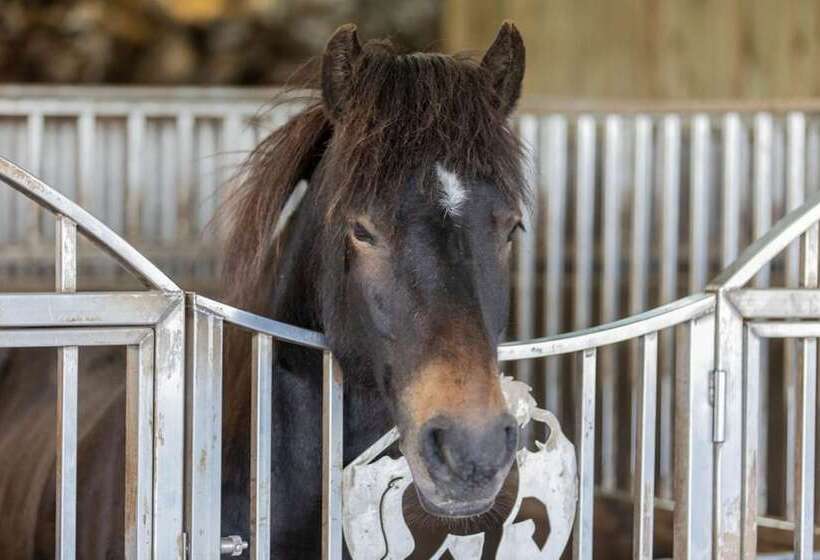 پانسیون Lysuholl