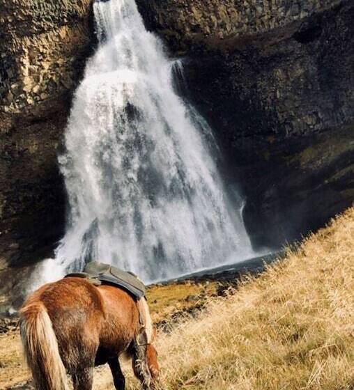 پانسیون Lysuholl