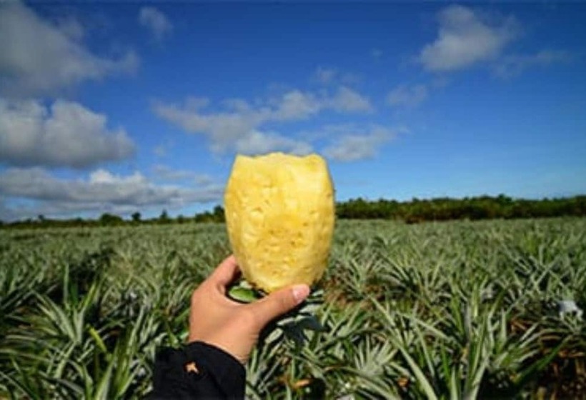 بنسيون Miyagi San S Home