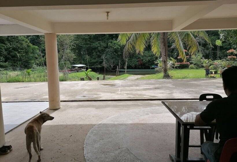 膳宿费 Mulu Diana Homestay