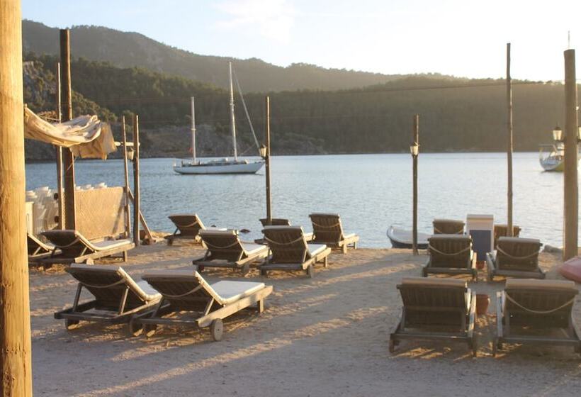 膳宿费 Sakin Vadi Winehouse