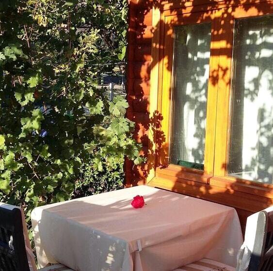 膳宿费 Sakin Vadi Winehouse