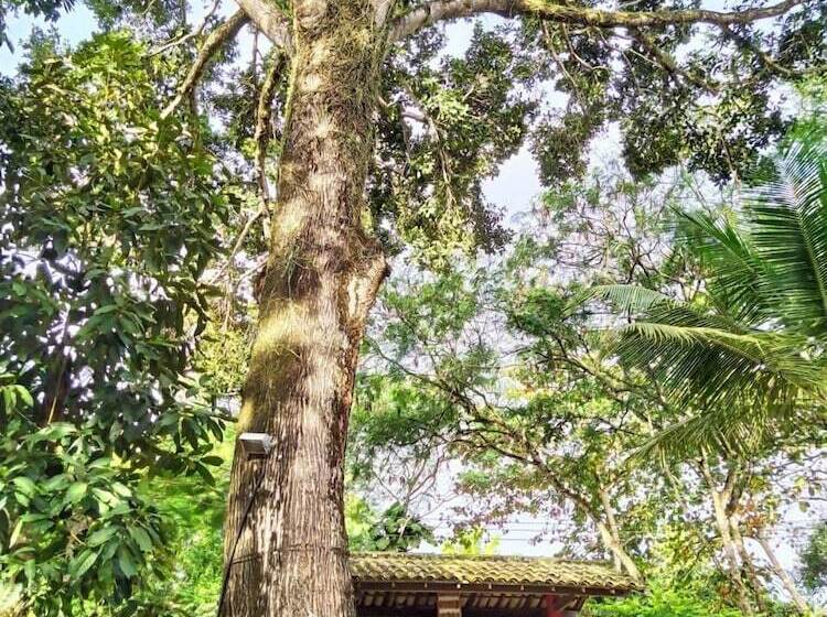 膳宿费 Salamandra Guest House