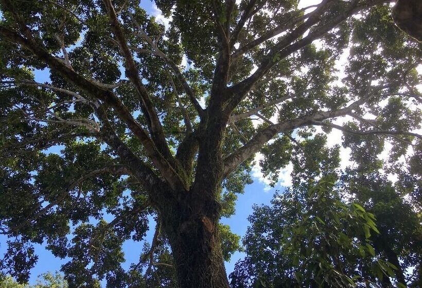 膳宿费 Salamandra Guest House