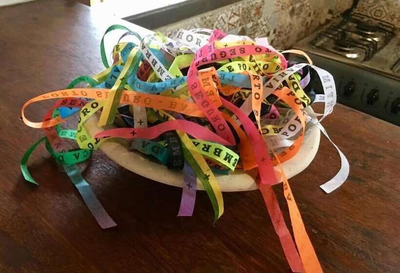 膳宿费 Salamandra Guest House