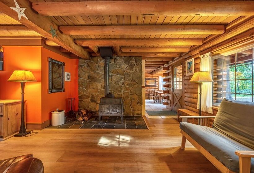 Pet Friendly Baja Norte Home With Xbox And Board Game By Redawning