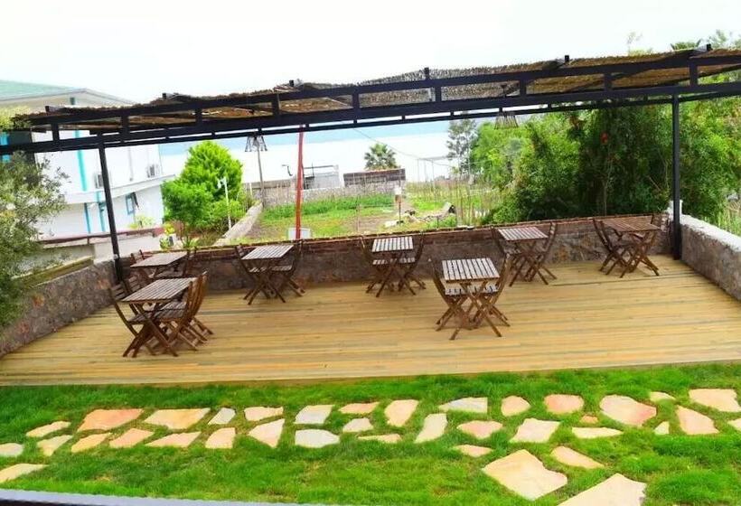 Rotam Sogut Pansiyon