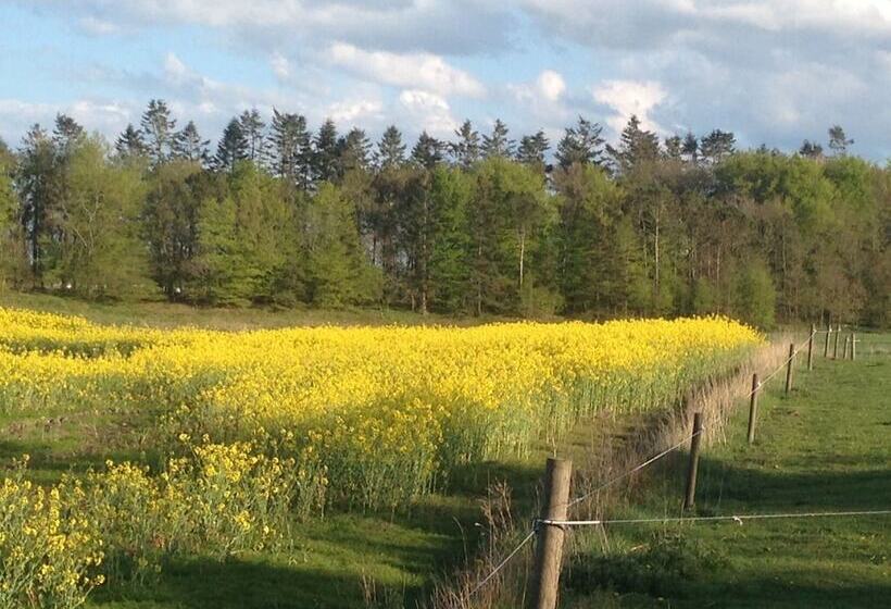 øster Vaaen Bed And Breakfast