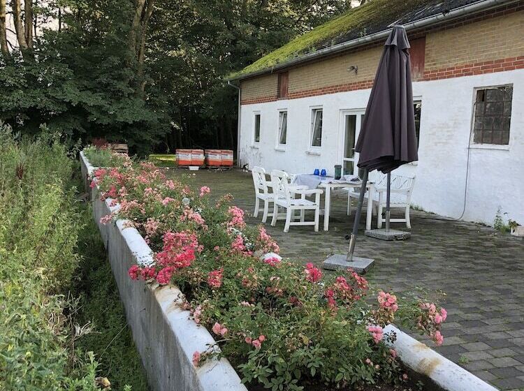 øster Vaaen Bed And Breakfast