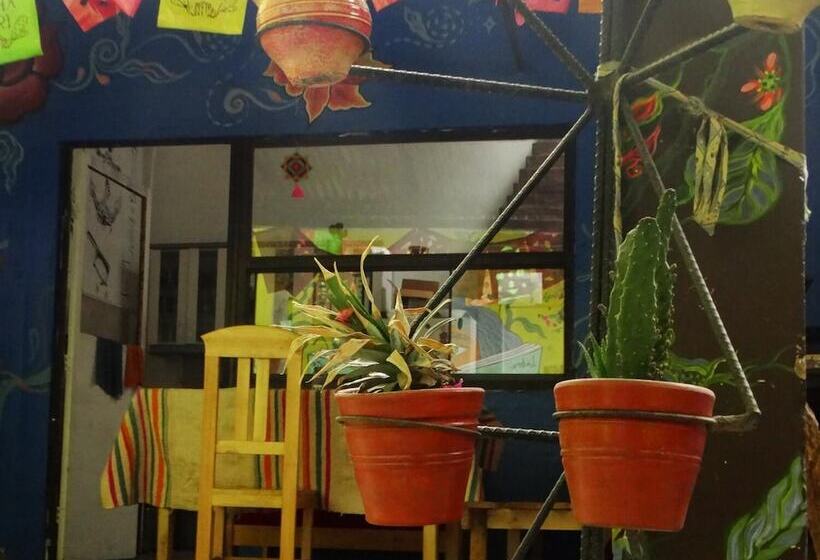 هاستل Pacha Qori Backpackers