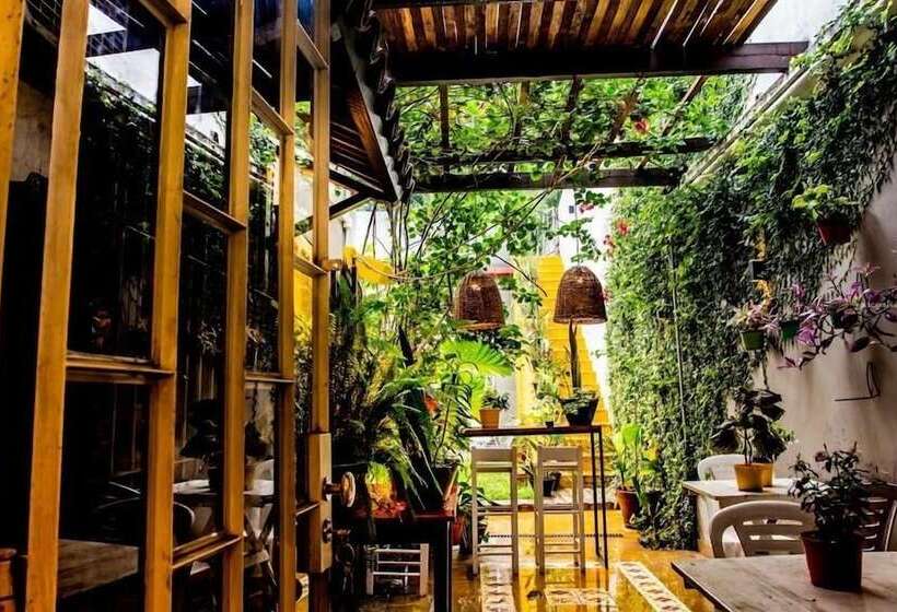 تختخواب و صبحانه Casa Citá