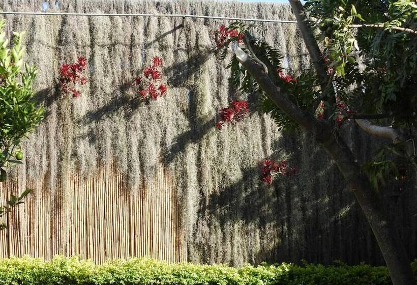 צימר Casa Palosanto   Adults Only