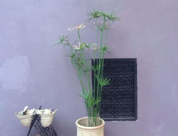 مبيت وإفطار Dar Tadout