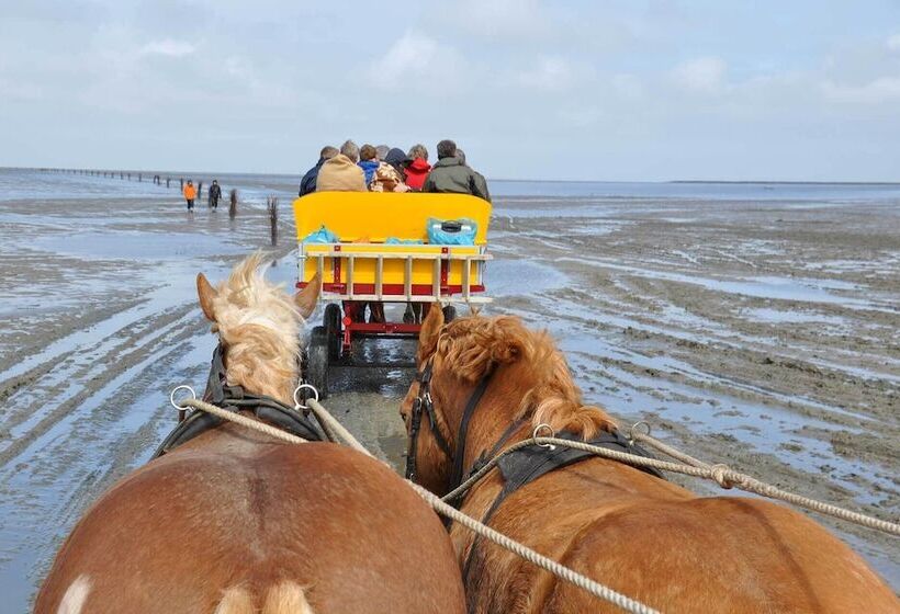 تختخواب و صبحانه Haus Seeblick