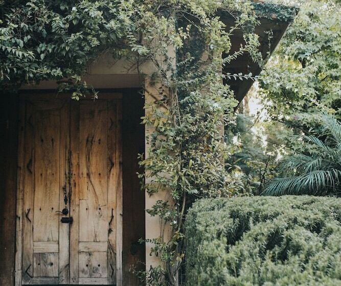 مبيت وإفطار María & Bernardo Casa   Viñedo