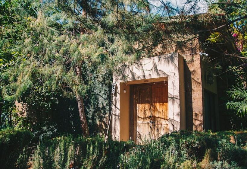 مبيت وإفطار María & Bernardo Casa   Viñedo