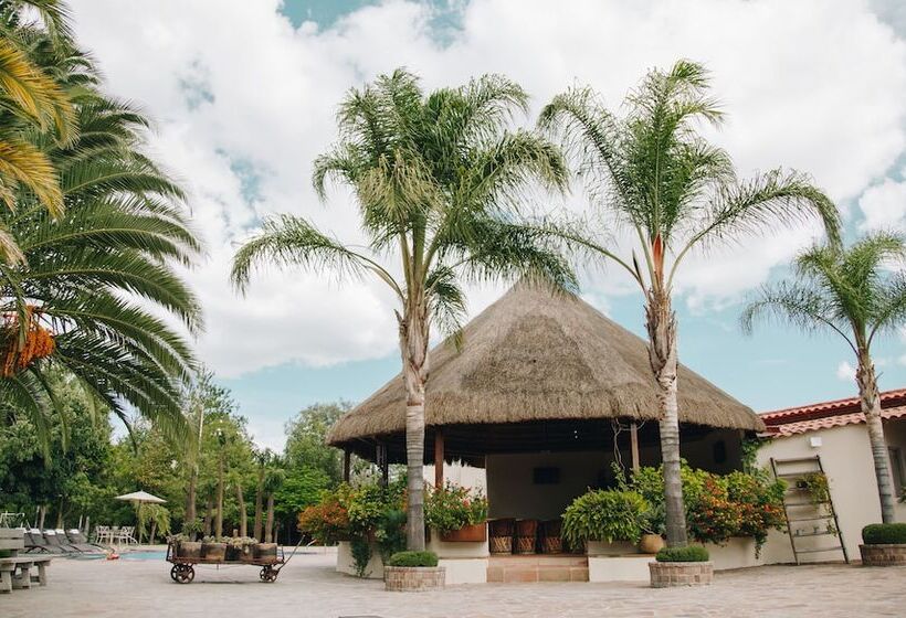 مبيت وإفطار María & Bernardo Casa   Viñedo