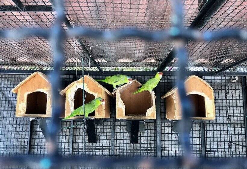 مبيت وإفطار María & Bernardo Casa   Viñedo