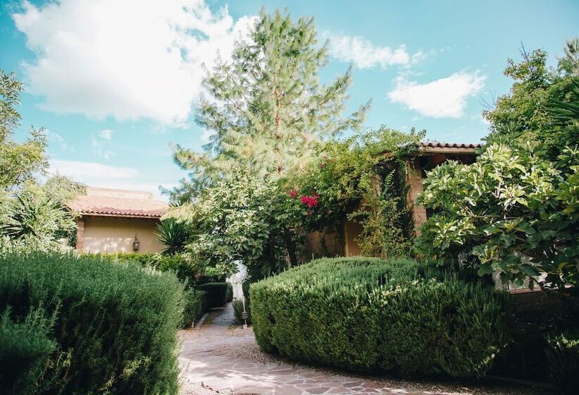 مبيت وإفطار María & Bernardo Casa   Viñedo