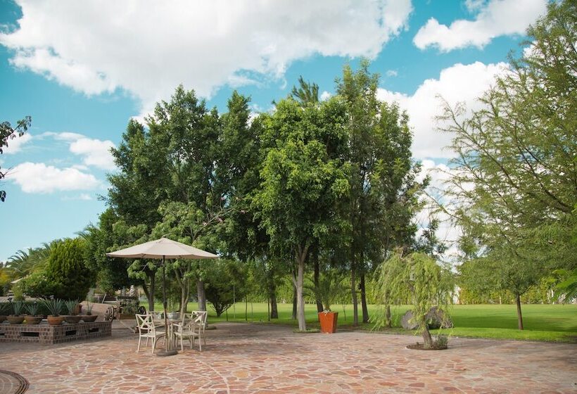 مبيت وإفطار María & Bernardo Casa   Viñedo