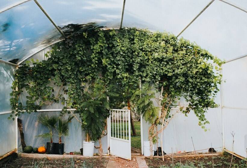 مبيت وإفطار María & Bernardo Casa   Viñedo