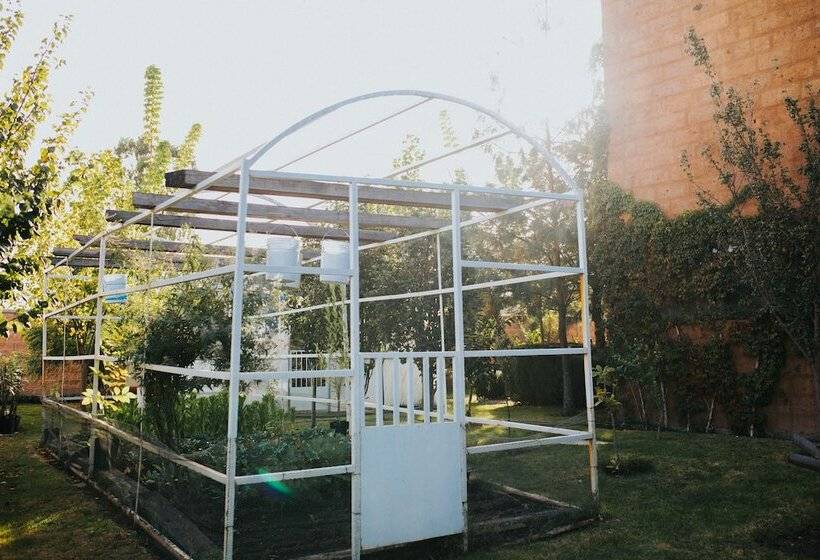 مبيت وإفطار María & Bernardo Casa   Viñedo