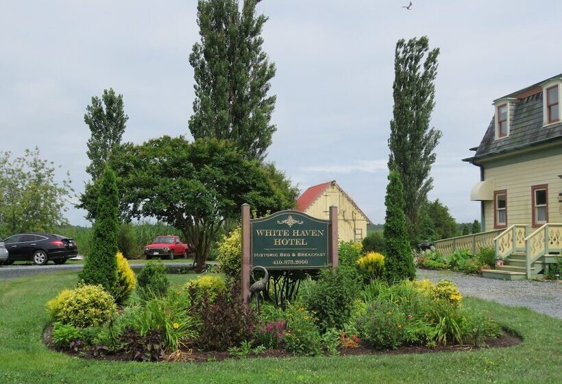 ベッドアンドブレックファースト The Whitehaven