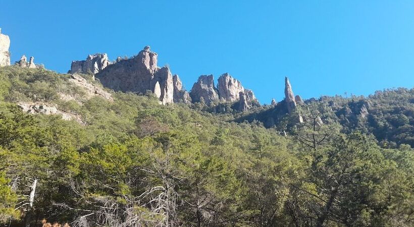 Cabañas Las Gemelas Barrancas Del Cobre