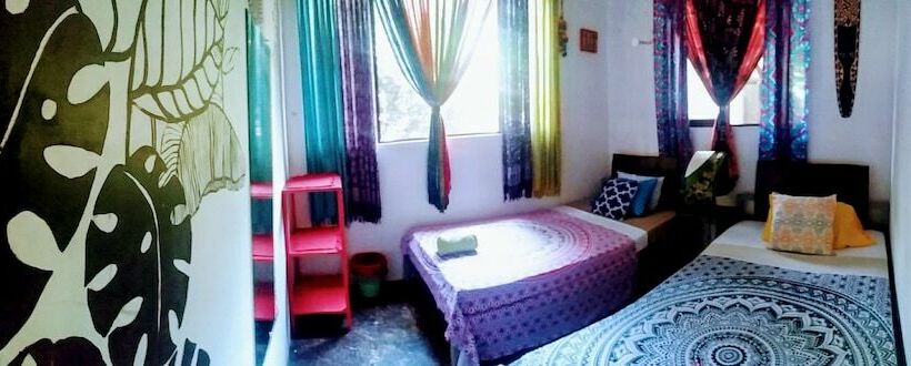 Casa Jungla Hostel