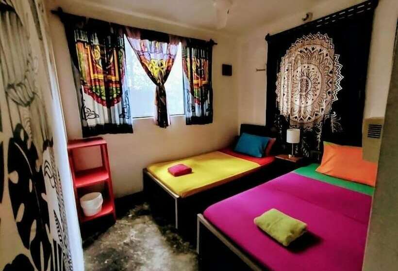 Casa Jungla Hostel