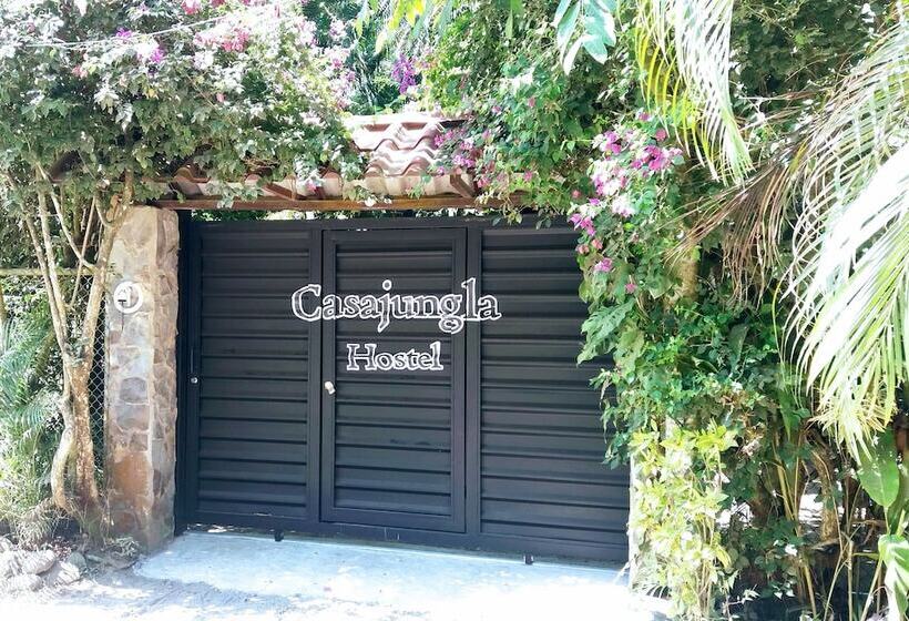 Casa Jungla Hostel