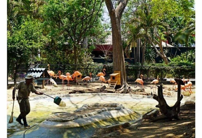 Casa La Vieja Guardia   Hostel