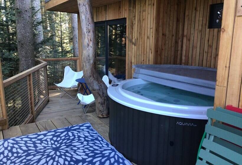 Domaine De L Authentique Cabanes Dans Les Arbres