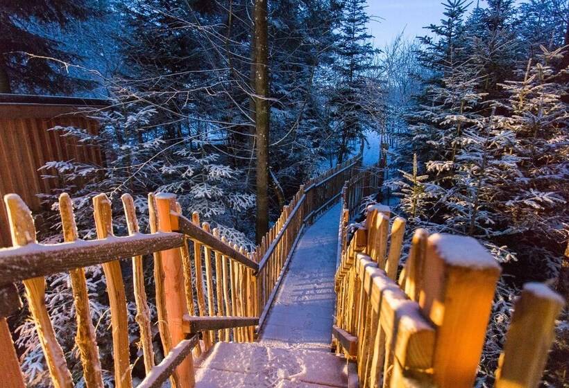 Domaine De L Authentique Cabanes Dans Les Arbres