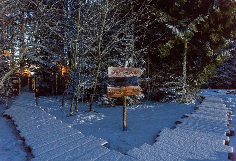 Domaine De L Authentique Cabanes Dans Les Arbres