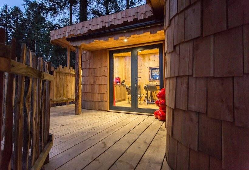 Domaine De L Authentique Cabanes Dans Les Arbres