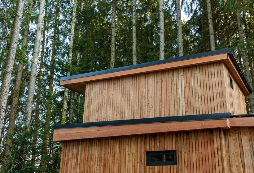 Domaine De L Authentique Cabanes Dans Les Arbres