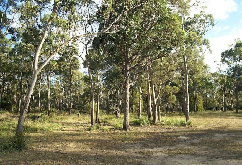 Hobart Bush Cabins