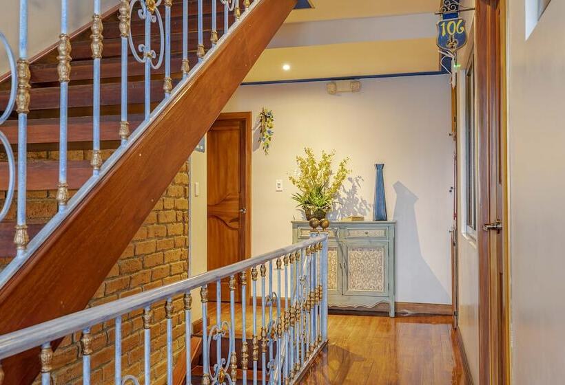 فندق Azul De La Plaza