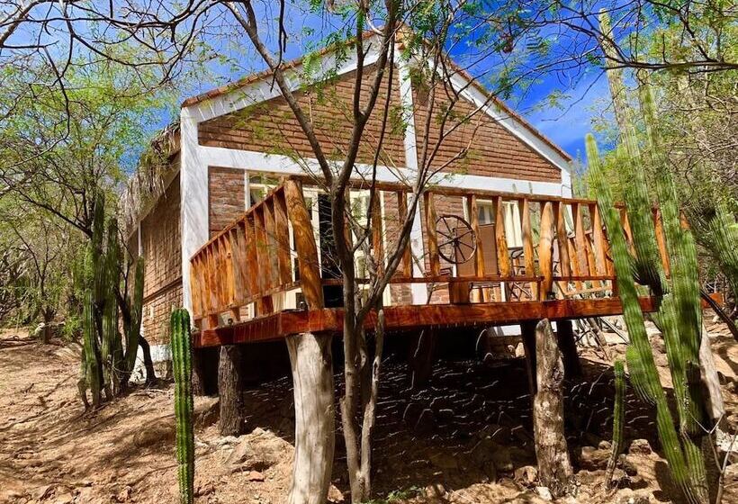 ホテル Cabañas El Triunfo