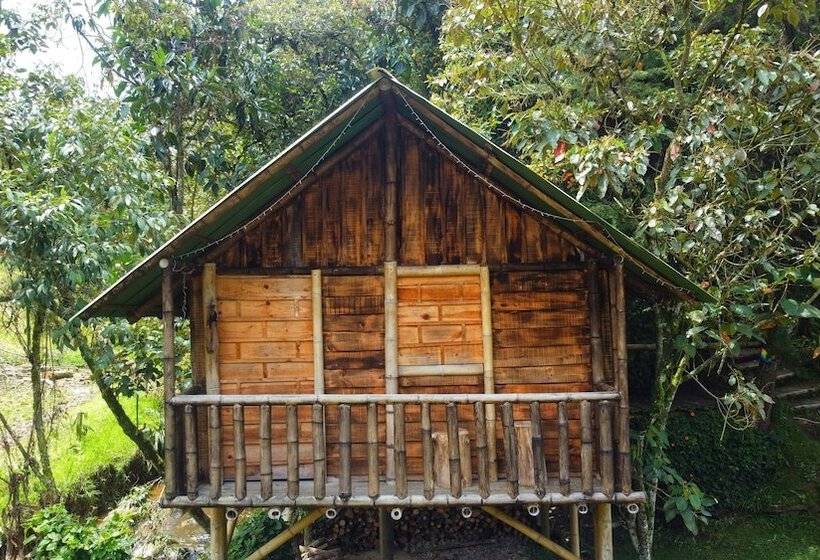 ホテル Cabañas Y Restaurante El Viejo Tambo